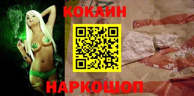 индика Новозыбков