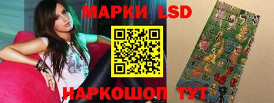 a pvp Новодвинск