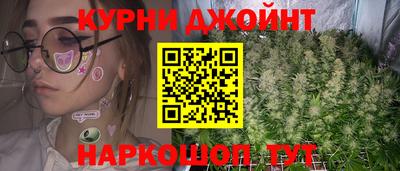 индика Новозыбков