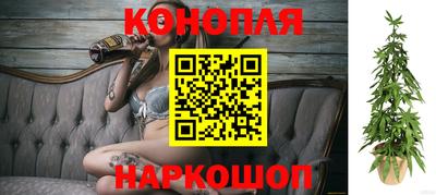 индика Новозыбков