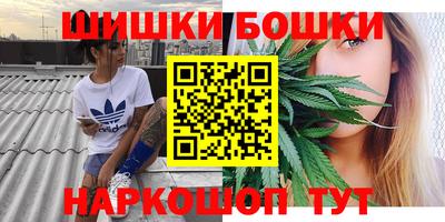 a pvp Новодвинск