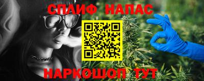 a pvp Новодвинск