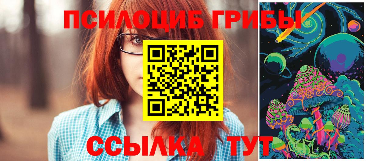 Галлюциногенные грибы GOLDEN TEACHER Ставрополь