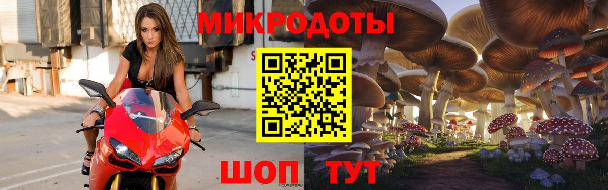 Галлюциногенные грибы Psilocybine cubensis  Вход с VPN  сколько стоит  Ставрополь 